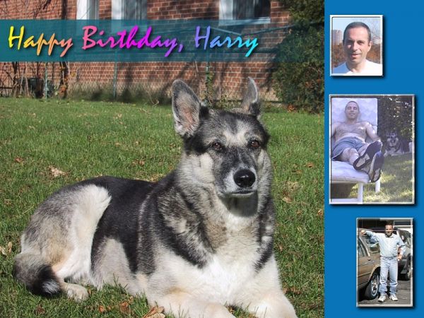 2002 09 30 Harry Birthday Card